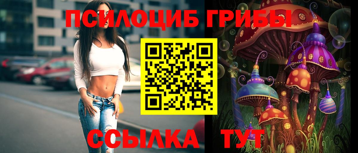 Псилоцибиновые грибы ЛСД  Вход с VPN  Рузаевка 