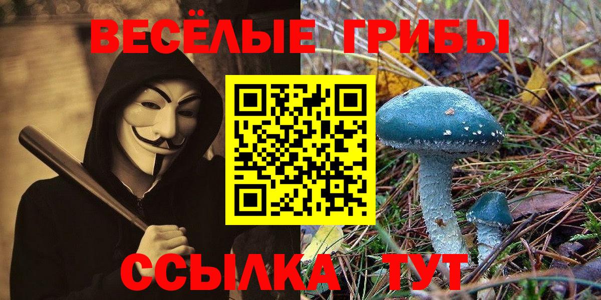 Галлюциногенные грибы MAGIC MUSHROOMS Рузаевка